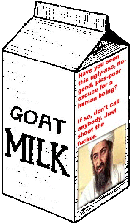 Missing Bin Laden milk carton