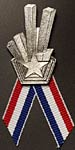 Pentagon and WTC ribbon pin
